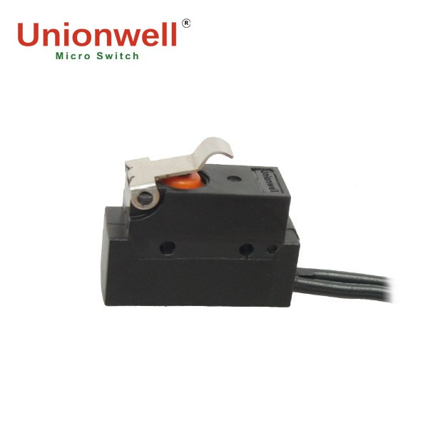 Waterproof Micro Switch For Auto G10B